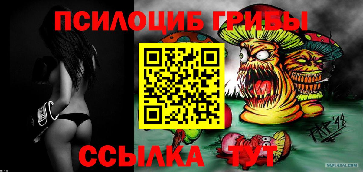 Костомукша  Галлюциногенные грибы Cubensis  Вход с VPN 